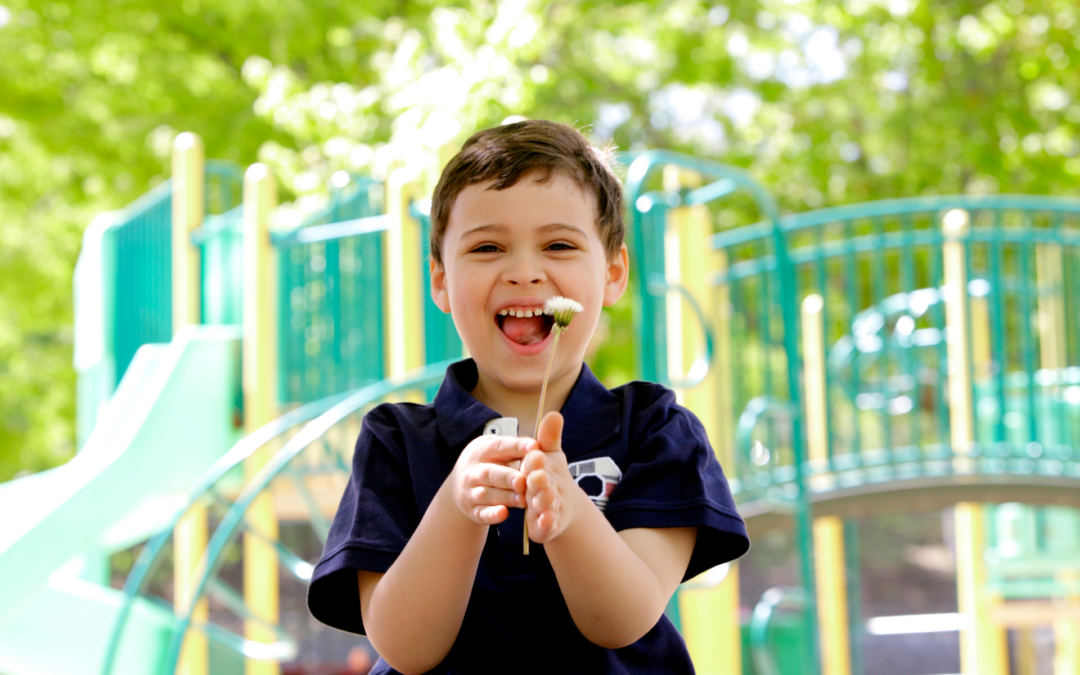 How to Choose an ABA Provider: What to Ask Before You Enroll